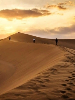 Dunes (Safari)